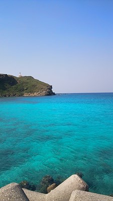 2月13日 ぽかぽか日和_b0158746_168720.jpg