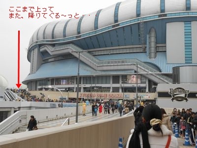 次世代ワールドホビーフェア15 コトのタネ