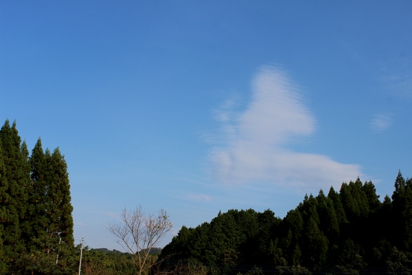 a0174458_002612.jpg