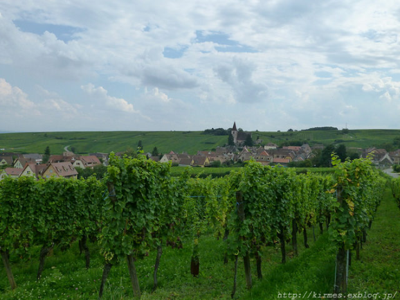 d0308567_07330122.png