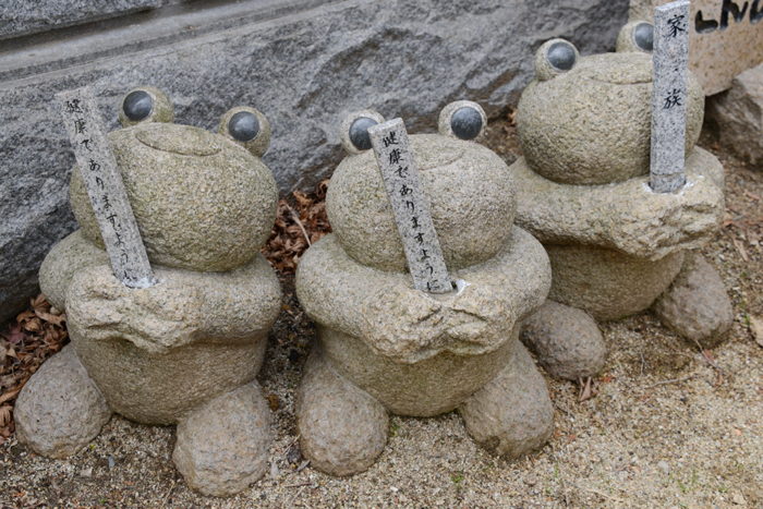 福岡の珍スポット！3000体のカエルオブジェが並ぶ！かえる寺（如意輪寺）_e0171573_23443875.jpg