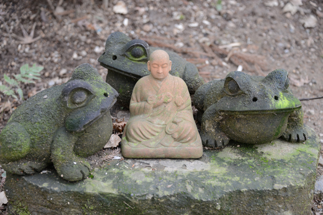 福岡の珍スポット！3000体のカエルオブジェが並ぶ！かえる寺（如意輪寺）_e0171573_23461280.jpg