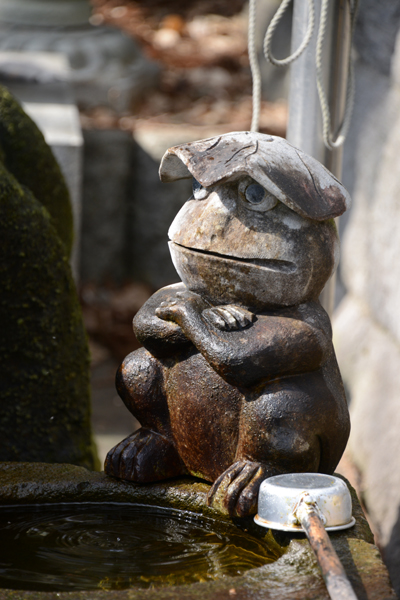 福岡の珍スポット!3000体のカエルオブジェが並ぶ!かえる寺(如意輪寺)_e0171573_23463099.jpg