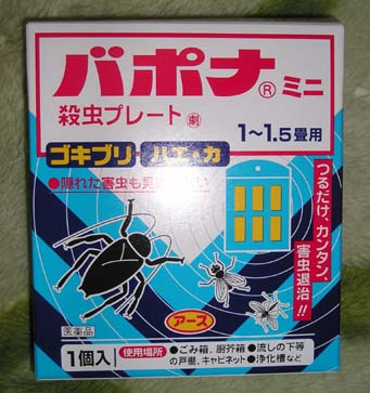 2/13 店長日記_e0173381_18594147.jpg