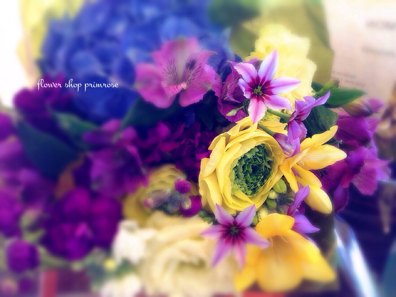 今日のお花♪_a0295718_2243724.jpg