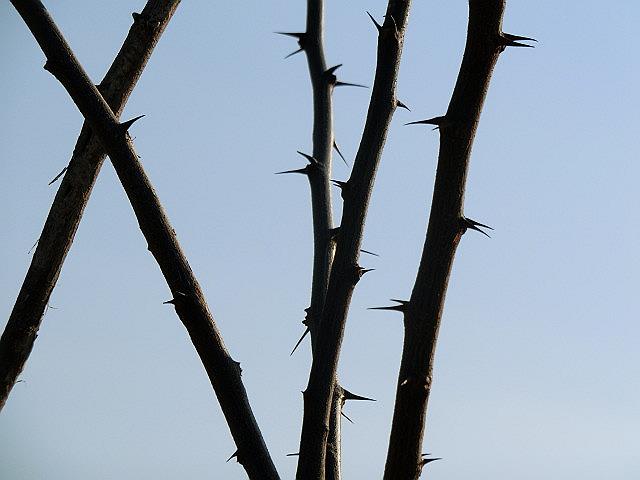 e0234924_10122047.jpg