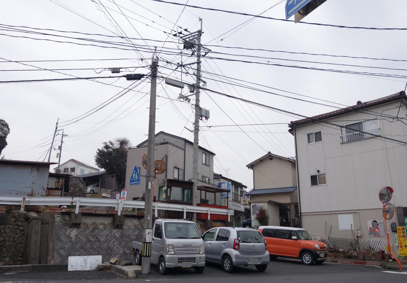 津山ホルモンうどん　橋野食堂_c0060927_18123681.jpg