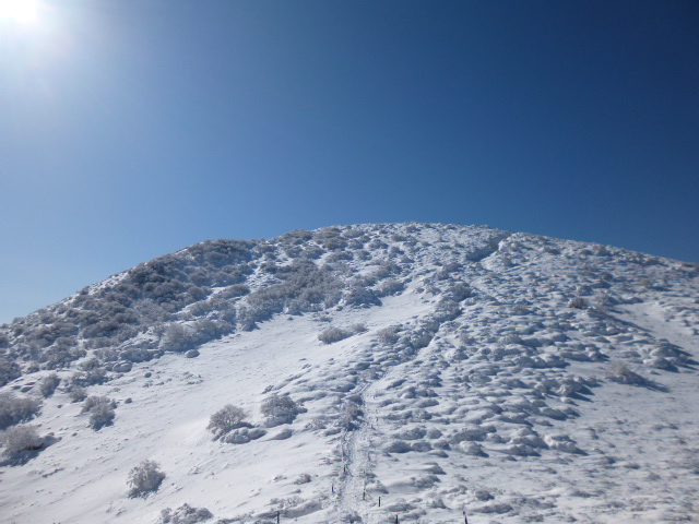 a0220528_16484914.jpg