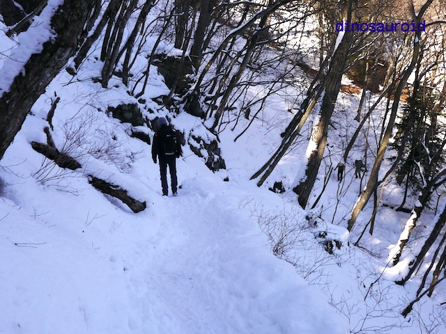 鋸山・大岳山・御岳山トレッキング2015_c0093131_7232512.jpg