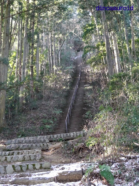 鋸山・大岳山・御岳山トレッキング2015_c0093131_7241511.jpg