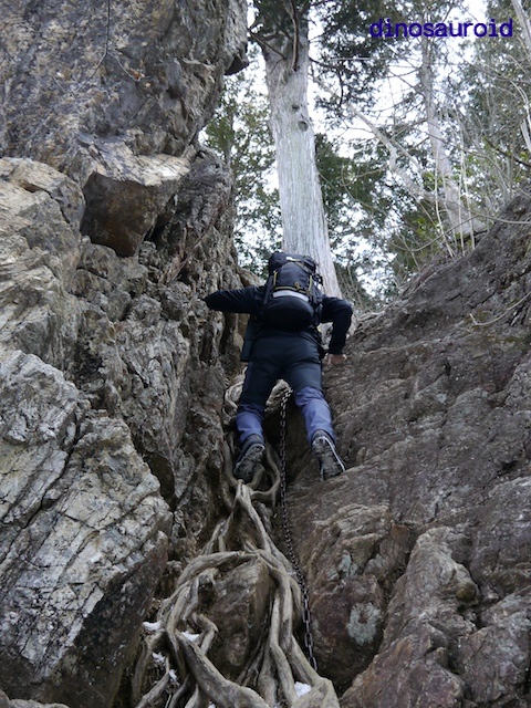 鋸山・大岳山・御岳山トレッキング2015_c0093131_724563.jpg