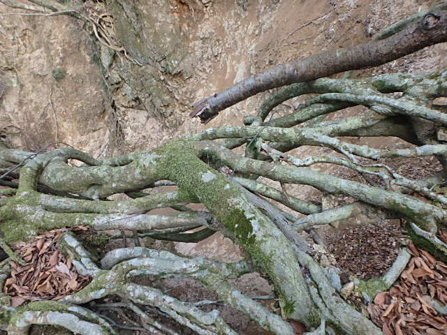 f0334143_8595121.jpg
