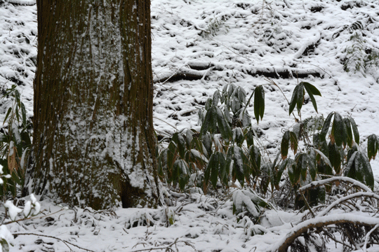 c0093046_16302141.gif