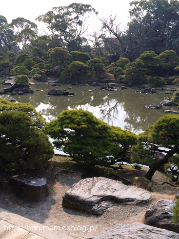 九州3県横断の旅　～御花へ～_d0291758_14515253.jpg