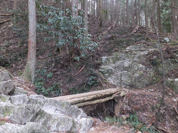 金剛山【ツツジオ谷・細尾道（下山）】：完全氷瀑の二の滝に惹かれてまさかの２連チャン_c0066176_14254154.jpg