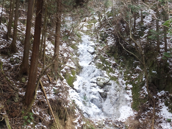 金剛山【ツツジオ谷・細尾道（下山）】：完全氷瀑の二の滝に惹かれてまさかの２連チャン_c0066176_1430613.jpg