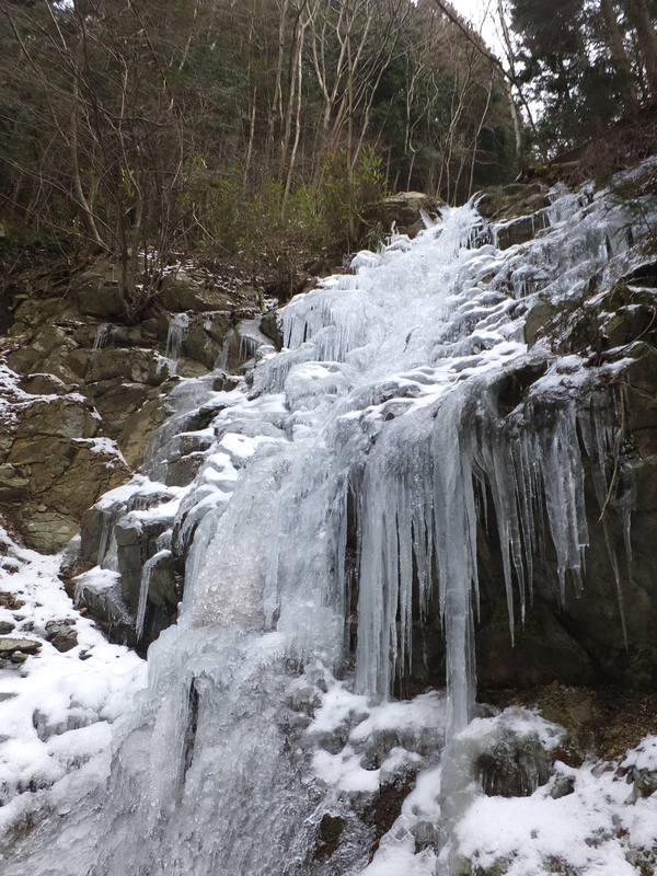 金剛山【ツツジオ谷・細尾道（下山）】：完全氷瀑の二の滝に惹かれてまさかの２連チャン_c0066176_14342644.jpg