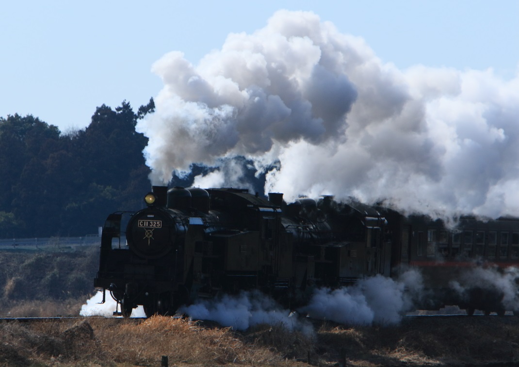 SL C-11＋12 重連運転　＜４＞　真岡鉄道・八木岡地区　２０１５・０２・１１_e0143883_6493554.jpg