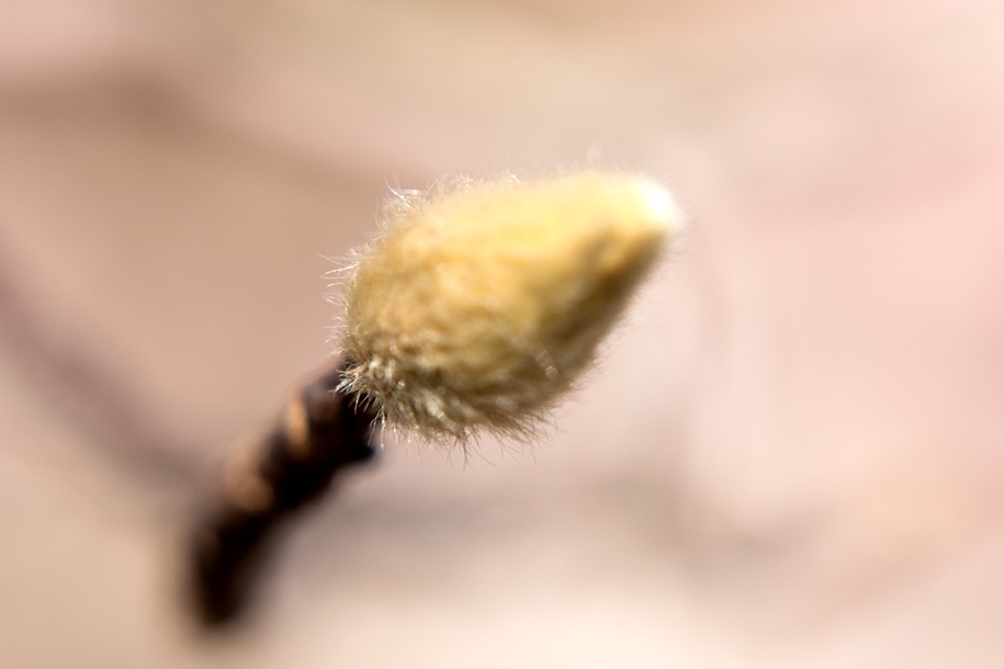 e0305388_10211417.jpg