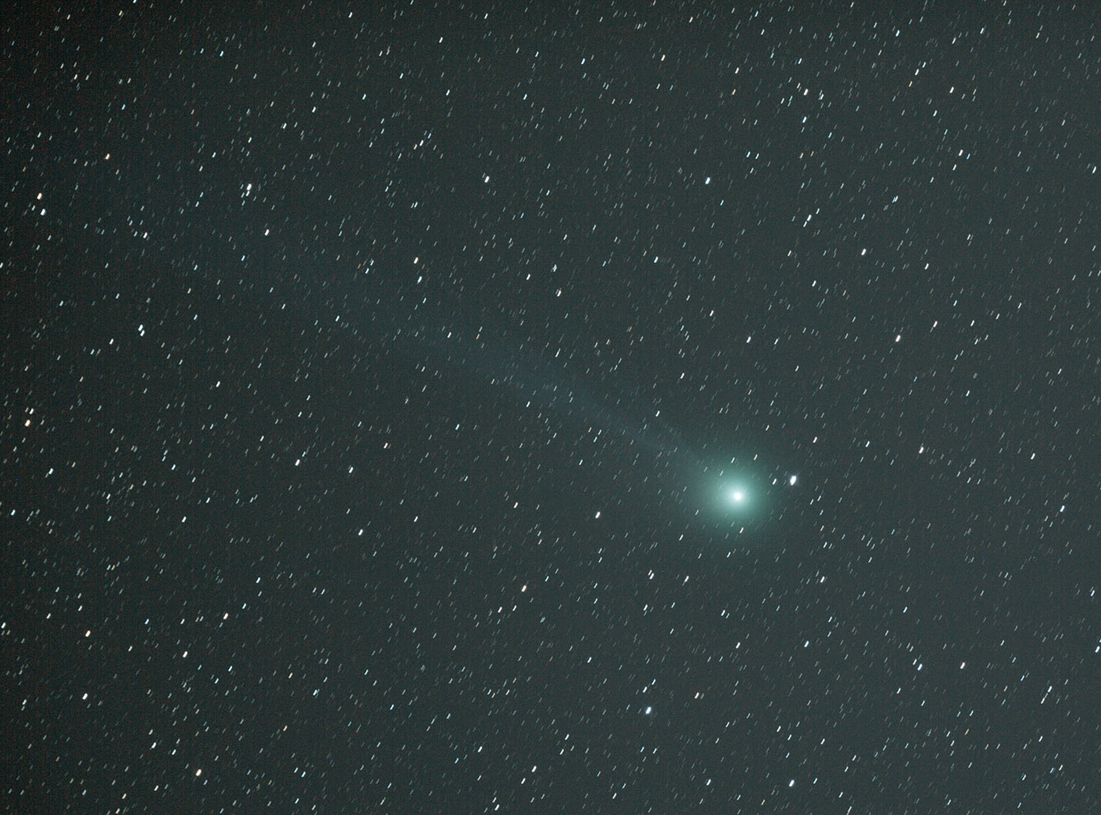 2月13日のラブジョイ彗星_e0174091_1432051.jpg