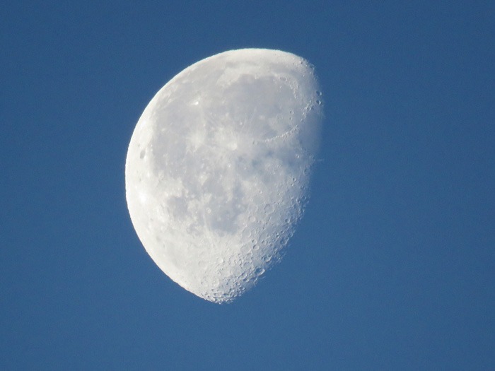c0049299_21471713.jpg