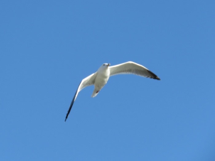 c0049299_2148447.jpg