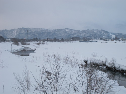 伝国の杜に別れを告げて雪灯篭を観て自宅へ・・・２_c0075701_17243522.jpg