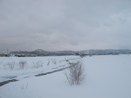 伝国の杜に別れを告げて雪灯篭を観て自宅へ・・・２_c0075701_17244413.jpg