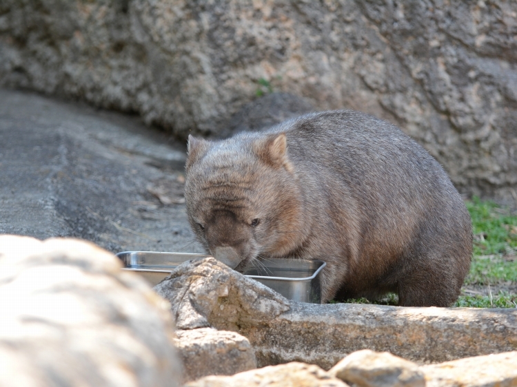 ヒロキと春の足音_a0164204_01491431.jpg