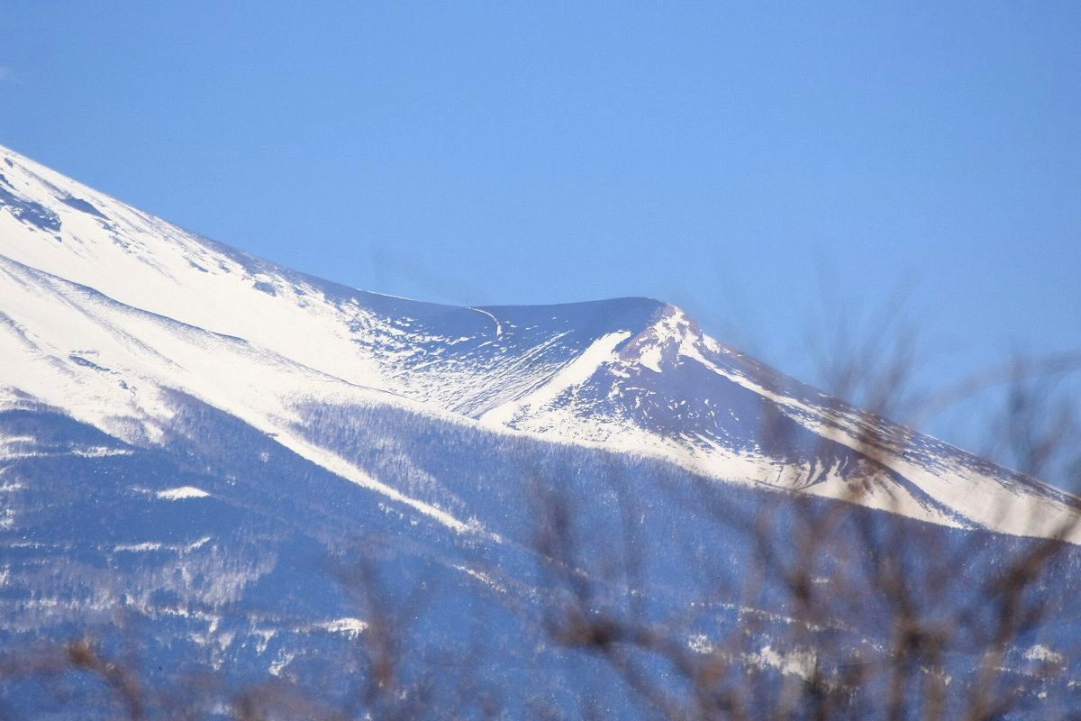 b0150110_1128357.jpg