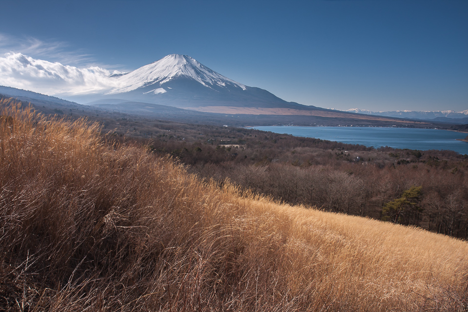 b0010915_2142561.jpg