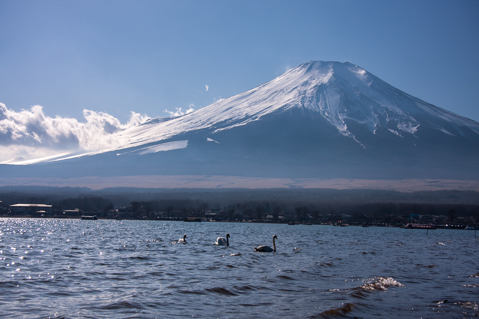 b0010915_21472724.jpg