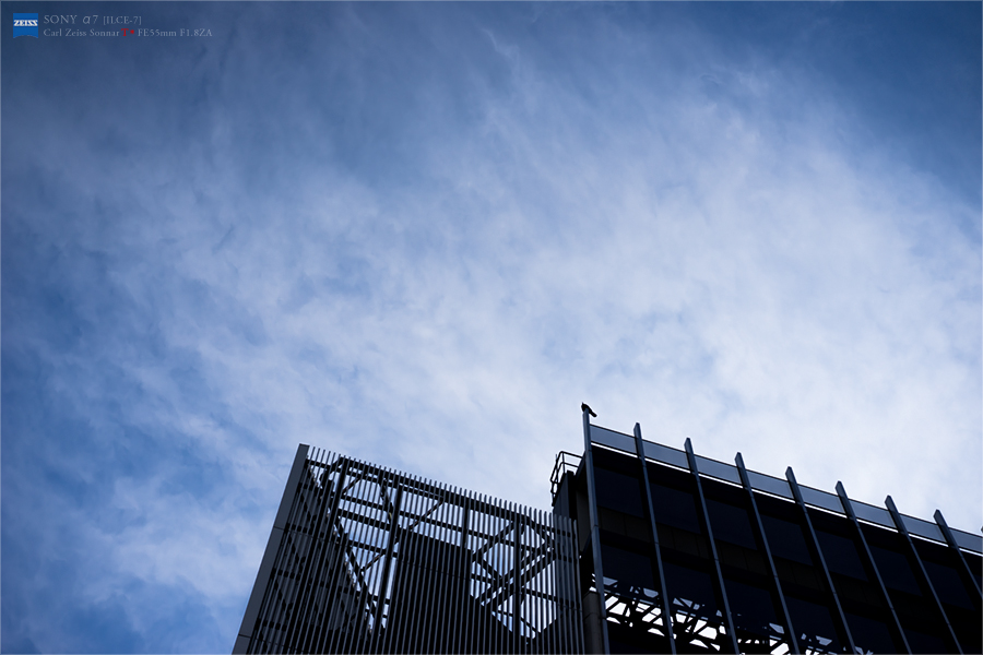 SONY α7 スナップ #210_e0117517_23293369.jpg