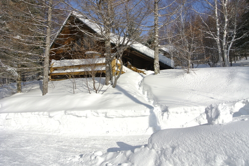 屋根の雪、80ｃｍはゆうに越えていた。_d0170835_21291953.jpg