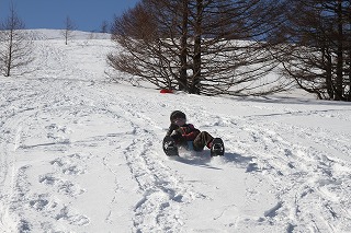 c0090236_15264731.jpg