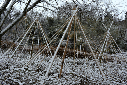 c0093046_9104393.gif
