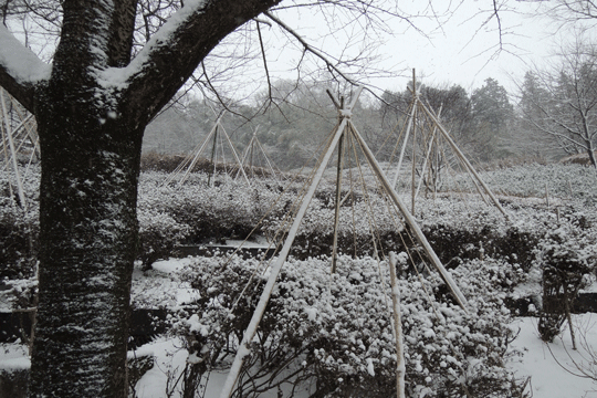 c0093046_9112340.gif