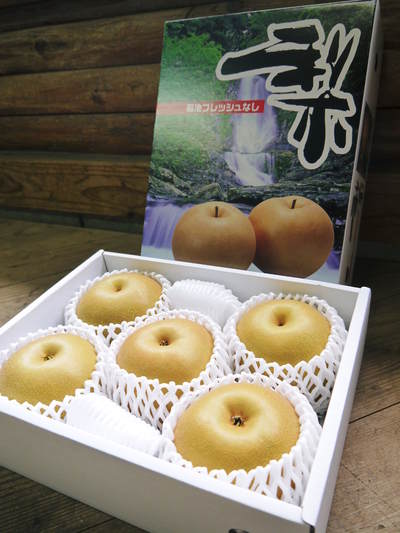 熊本梨 岩永農園 匠の剪定作業に今年も同行取材!その2(梨が実るのは弱い枝)_a0254656_1805968.jpg