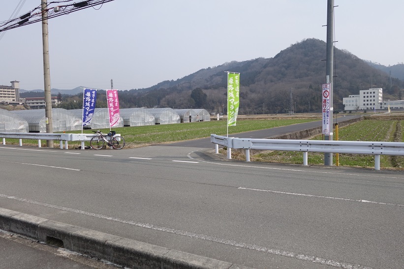 世界遺産姫路城マラソン2015のコース下見　2_c0236857_17071241.jpg