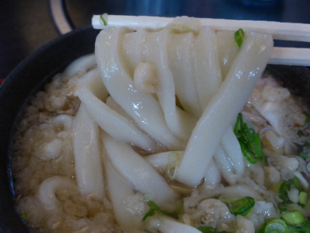 ふじきち （手打ちうどん）_b0165358_1783380.jpg