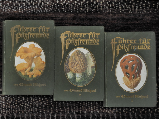 ドイツアンティークきのこ図鑑 : きのこ、だけ