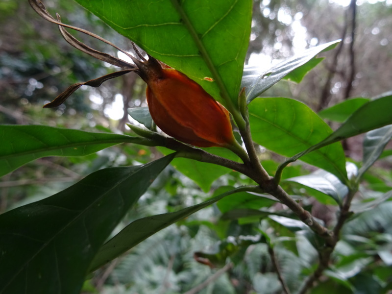 c0108460_18072161.jpg