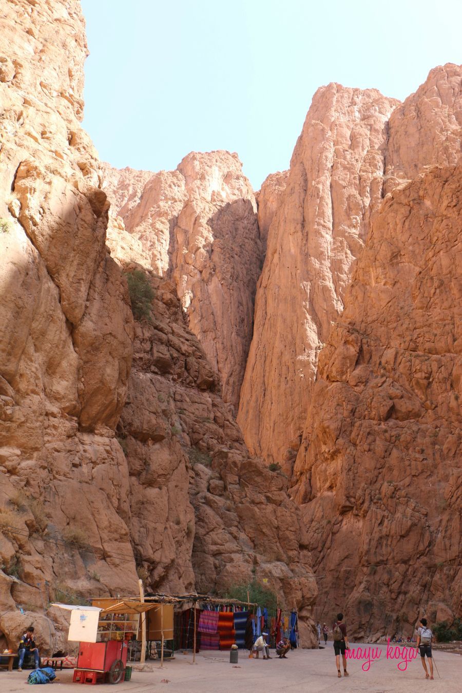 e0255060_21134321.jpg