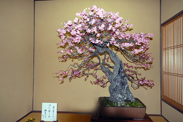 a0208066_19233549.jpg