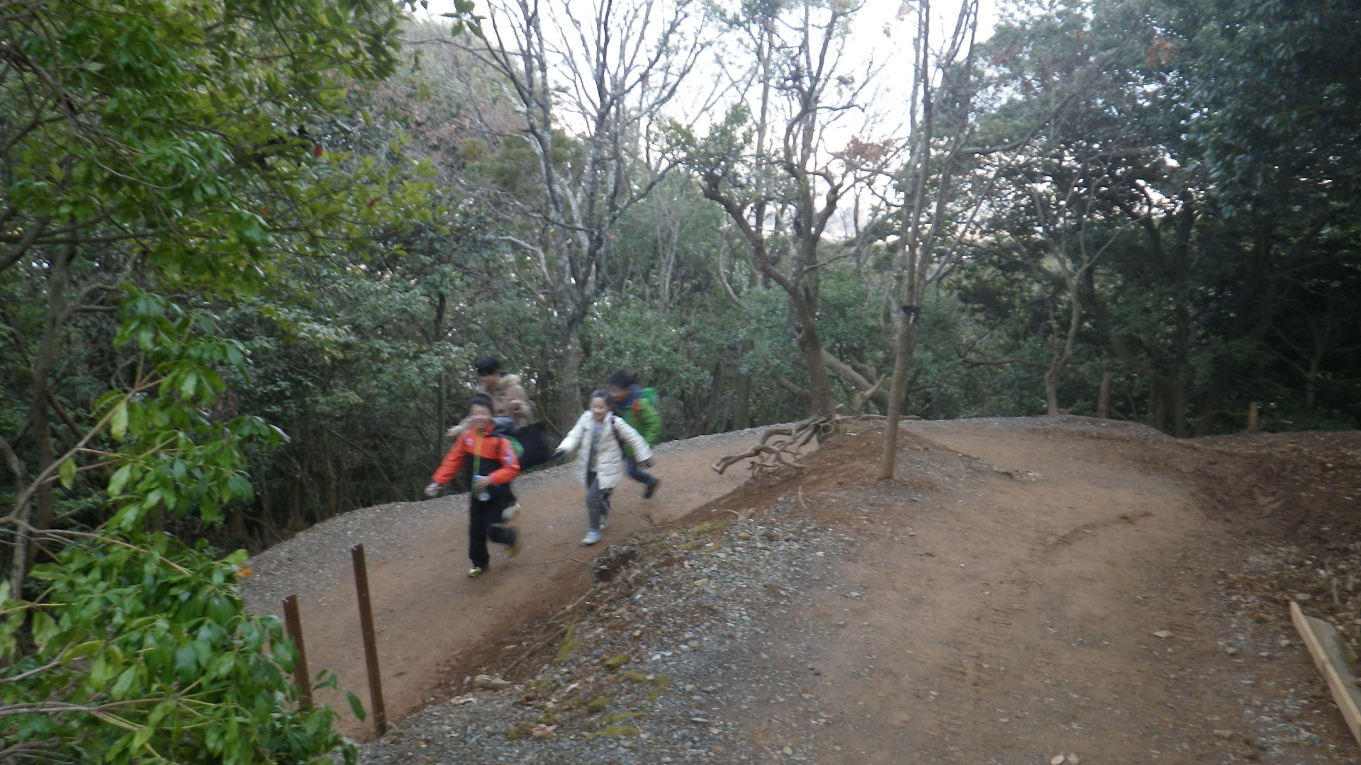 b0300769_106075.jpg