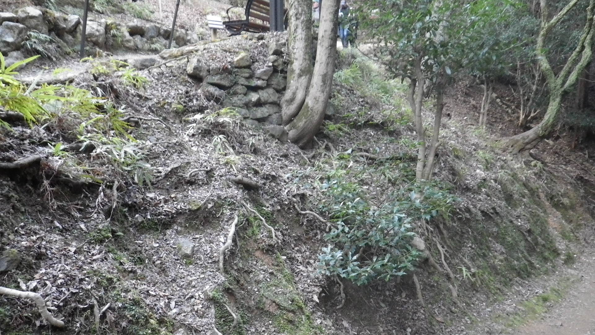 b0300769_106523.jpg