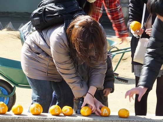 動物園での年中行事　_e0272869_13240761.jpg