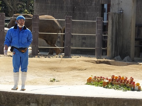 動物園での年中行事　_e0272869_14211096.jpg