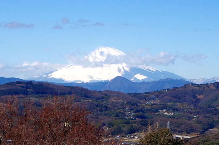 d0031171_9928.jpg
