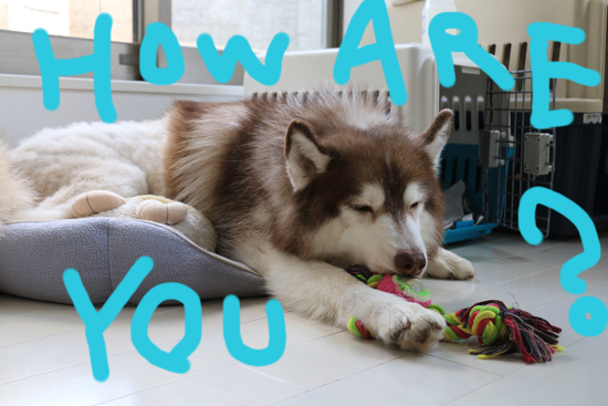 how are you?_c0245679_23202455.jpg